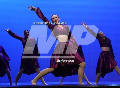 Thumbnail 2 in Strutters Showcase photogallery.