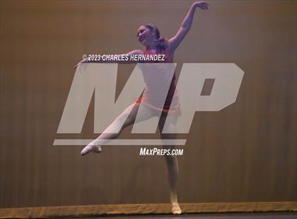 Thumbnail 1 in Strutters Showcase photogallery.