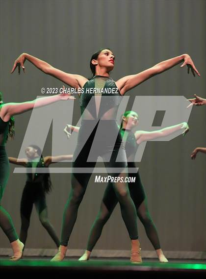 Thumbnail 1 in Strutters Showcase photogallery.