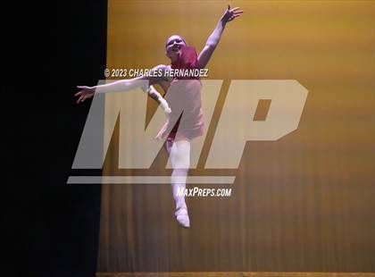 Thumbnail 2 in Strutters Showcase photogallery.