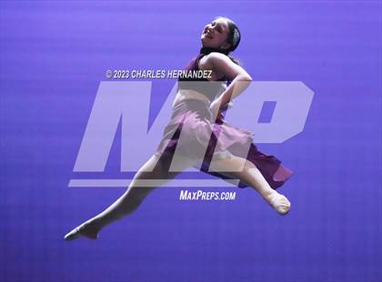 Thumbnail 2 in Strutters Showcase photogallery.