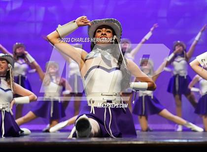 Thumbnail 2 in Strutters Showcase photogallery.