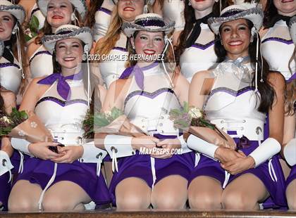 Thumbnail 1 in Strutters Showcase photogallery.