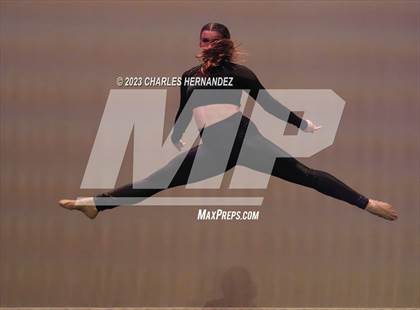 Thumbnail 3 in Strutters Showcase photogallery.