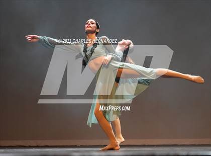 Thumbnail 2 in Strutters Showcase photogallery.