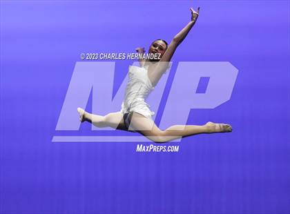 Thumbnail 2 in Strutters Showcase photogallery.