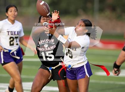 Thumbnail 2 in Tokay @ Lincoln photogallery.