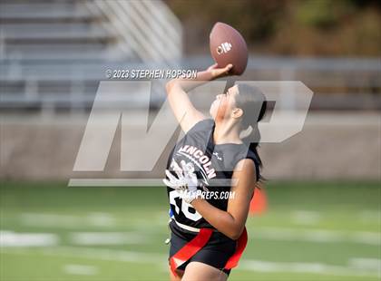 Thumbnail 3 in Tokay @ Lincoln photogallery.