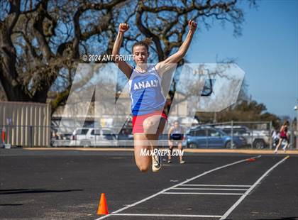 Thumbnail 1 in Santa Rosa Field Jamboree photogallery.
