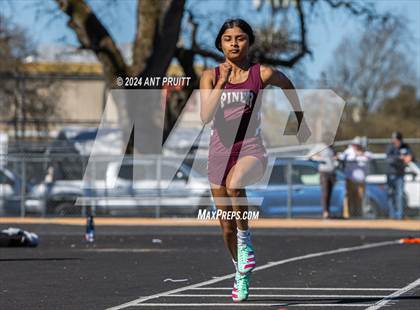 Thumbnail 3 in Santa Rosa Field Jamboree photogallery.