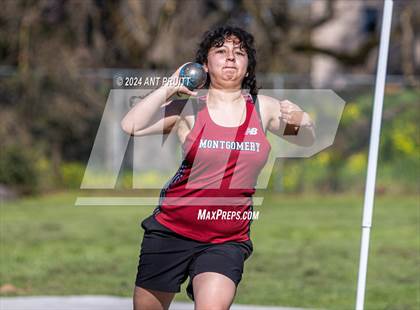 Thumbnail 1 in Santa Rosa Field Jamboree photogallery.