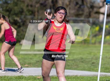 Thumbnail 3 in Santa Rosa Field Jamboree photogallery.