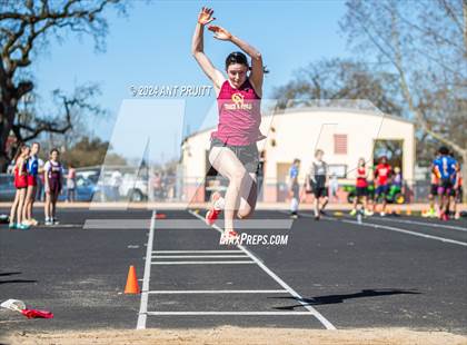 Thumbnail 2 in Santa Rosa Field Jamboree photogallery.