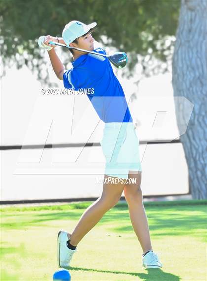 Thumbnail 3 in AIA DII Boys State Golf Championship photogallery.