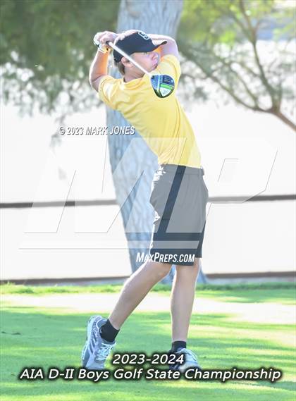 Thumbnail 3 in AIA DII Boys State Golf Championship photogallery.