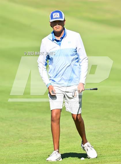 Thumbnail 1 in AIA DII Boys State Golf Championship photogallery.