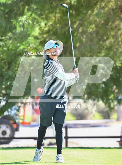 Thumbnail 2 in AIA DII Boys State Golf Championship photogallery.