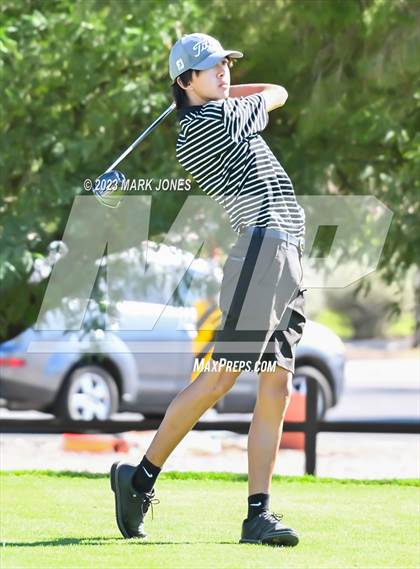 Thumbnail 2 in AIA DII Boys State Golf Championship photogallery.