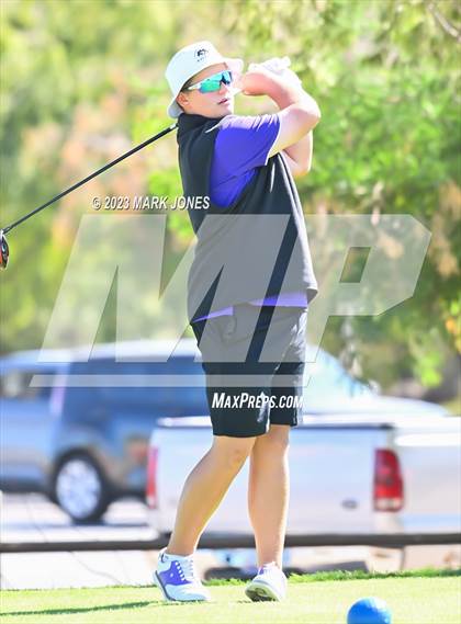Thumbnail 3 in AIA DII Boys State Golf Championship photogallery.
