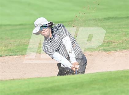 Thumbnail 2 in AIA DII Boys State Golf Championship photogallery.