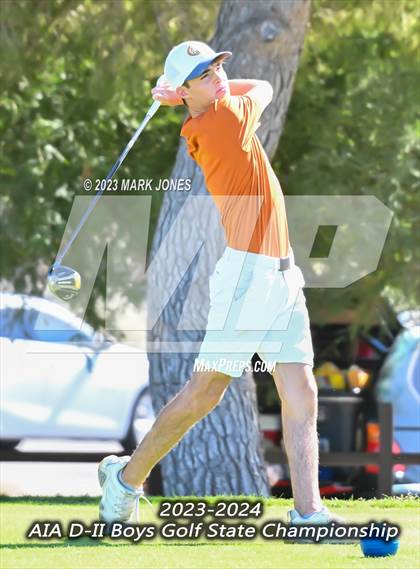 Thumbnail 1 in AIA DII Boys State Golf Championship photogallery.