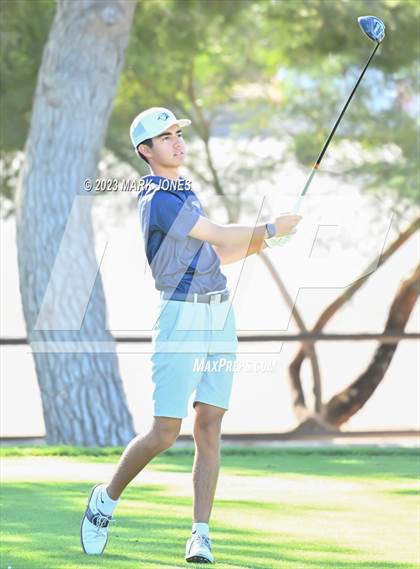Thumbnail 1 in AIA DII Boys State Golf Championship photogallery.