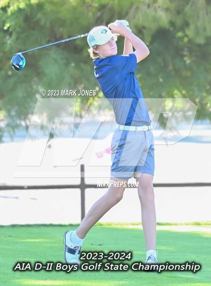 Thumbnail 1 in AIA DII Boys State Golf Championship photogallery.
