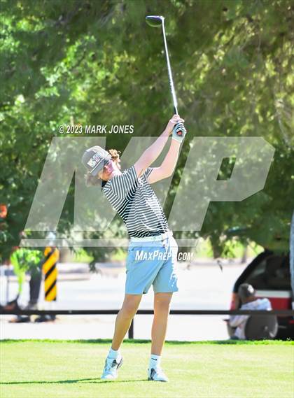 Thumbnail 3 in AIA DII Boys State Golf Championship photogallery.