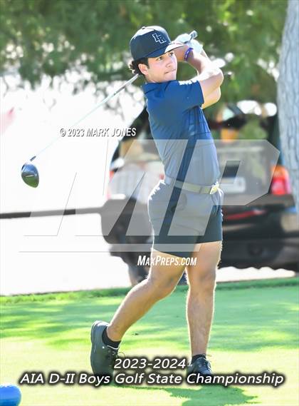 Thumbnail 3 in AIA DII Boys State Golf Championship photogallery.