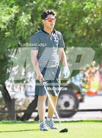 Thumbnail 2 in AIA DII Boys State Golf Championship photogallery.