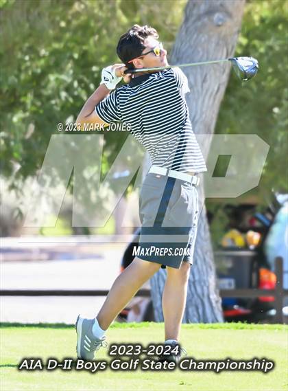 Thumbnail 3 in AIA DII Boys State Golf Championship photogallery.