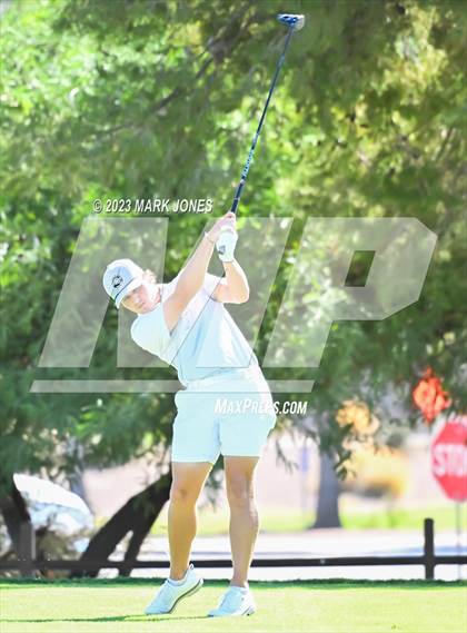 Thumbnail 2 in AIA DII Boys State Golf Championship photogallery.