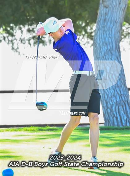 Thumbnail 3 in AIA DII Boys State Golf Championship photogallery.