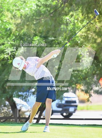 Thumbnail 3 in AIA DII Boys State Golf Championship photogallery.