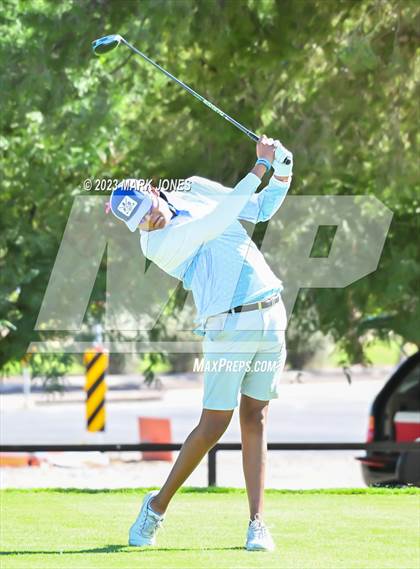 Thumbnail 1 in AIA DII Boys State Golf Championship photogallery.