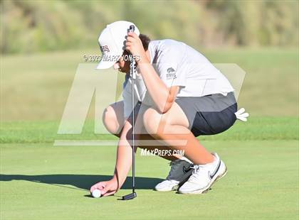 Thumbnail 1 in AIA DII Boys State Golf Championship photogallery.