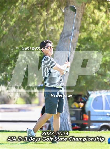 Thumbnail 2 in AIA DII Boys State Golf Championship photogallery.