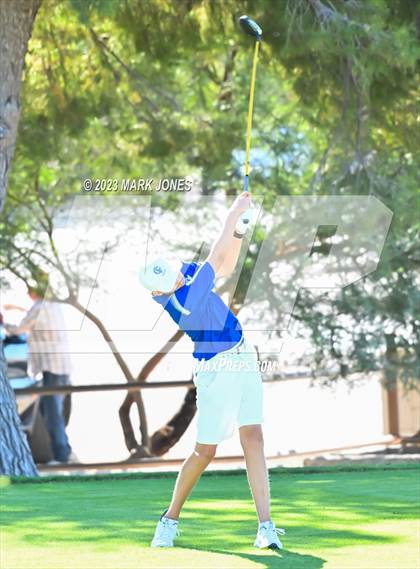 Thumbnail 3 in AIA DII Boys State Golf Championship photogallery.