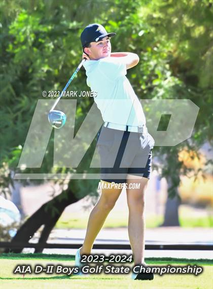 Thumbnail 3 in AIA DII Boys State Golf Championship photogallery.