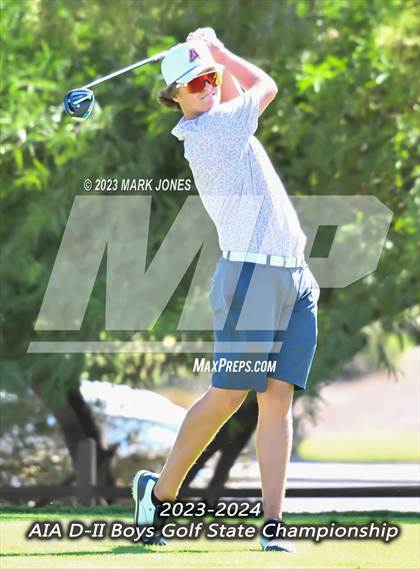 Thumbnail 3 in AIA DII Boys State Golf Championship photogallery.