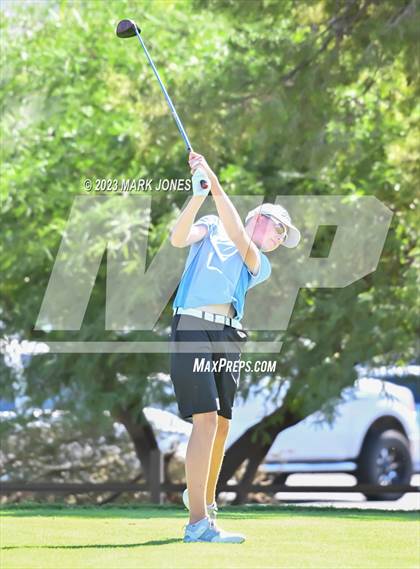 Thumbnail 2 in AIA DII Boys State Golf Championship photogallery.