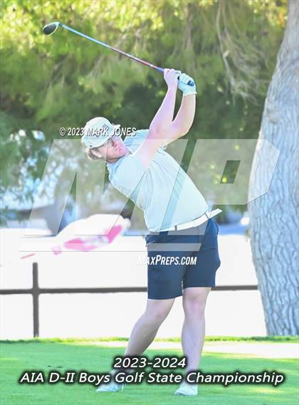Thumbnail 3 in AIA DII Boys State Golf Championship photogallery.