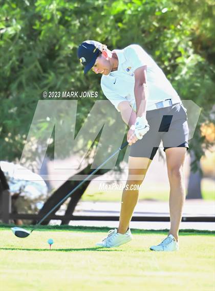 Thumbnail 2 in AIA DII Boys State Golf Championship photogallery.
