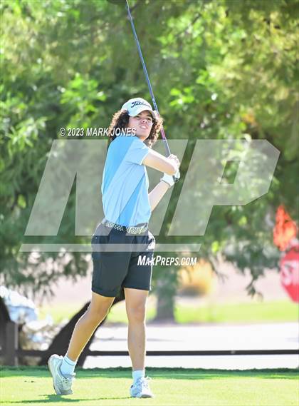 Thumbnail 3 in AIA DII Boys State Golf Championship photogallery.