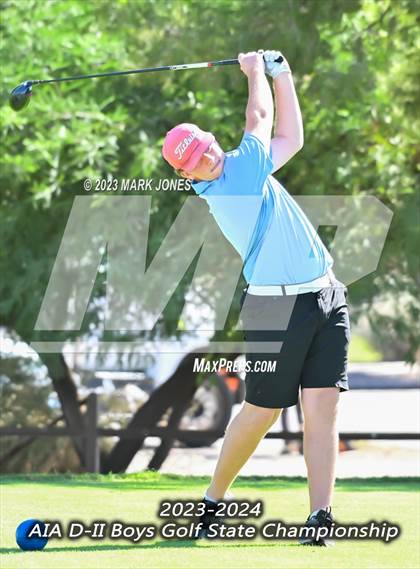 Thumbnail 1 in AIA DII Boys State Golf Championship photogallery.