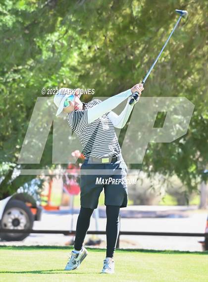 Thumbnail 1 in AIA DII Boys State Golf Championship photogallery.