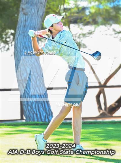 Thumbnail 2 in AIA DII Boys State Golf Championship photogallery.