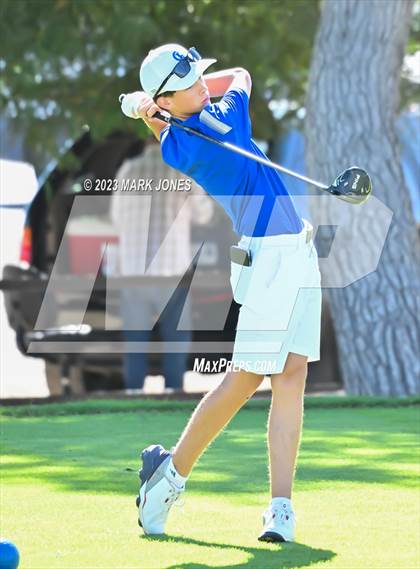 Thumbnail 3 in AIA DII Boys State Golf Championship photogallery.