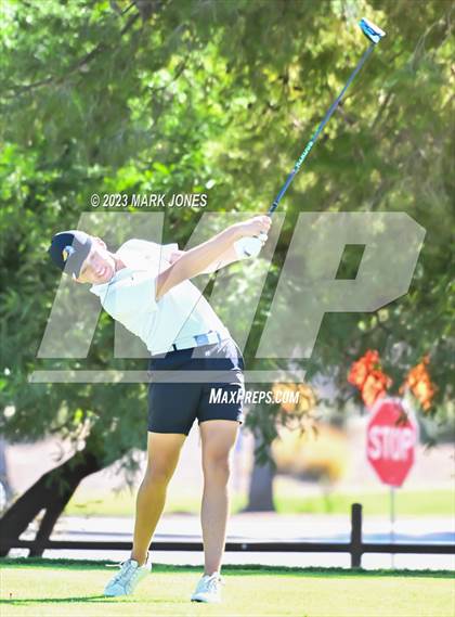 Thumbnail 1 in AIA DII Boys State Golf Championship photogallery.