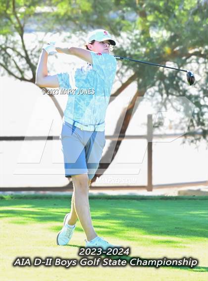 Thumbnail 3 in AIA DII Boys State Golf Championship photogallery.